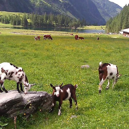 Chalet Gerlinde Ii Kaprun
